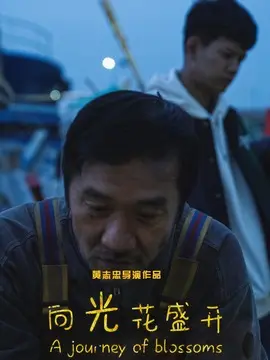 向光花盛开简介封面图